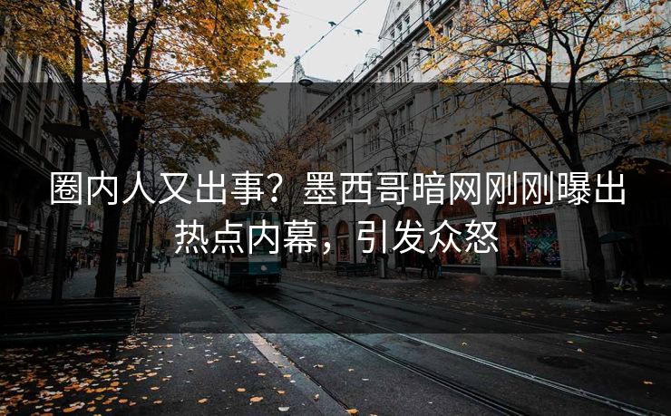 圈内人又出事?墨西哥暗网刚刚曝出热点内幕,引发众怒 圈内人又出事?墨西哥暗网刚刚曝出热点内幕,引发众怒
