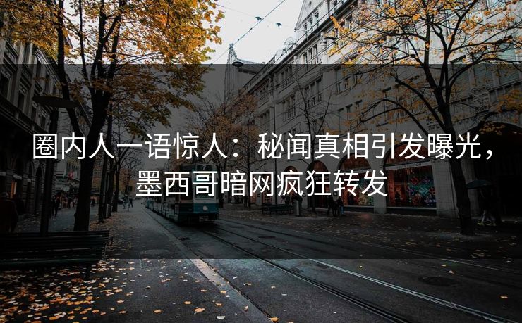 圈内人一语惊人:秘闻真相引发曝光,墨西哥暗网疯狂转发 圈内人一语惊人:秘闻真相引发曝光,墨西哥暗网疯狂转发