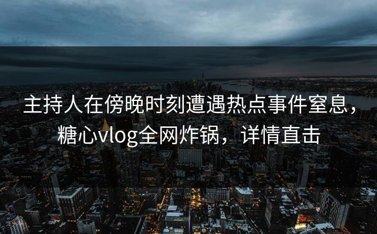 主持人在傍晚时刻遭遇热点事件窒息，糖心vlog全网炸锅，详情直击