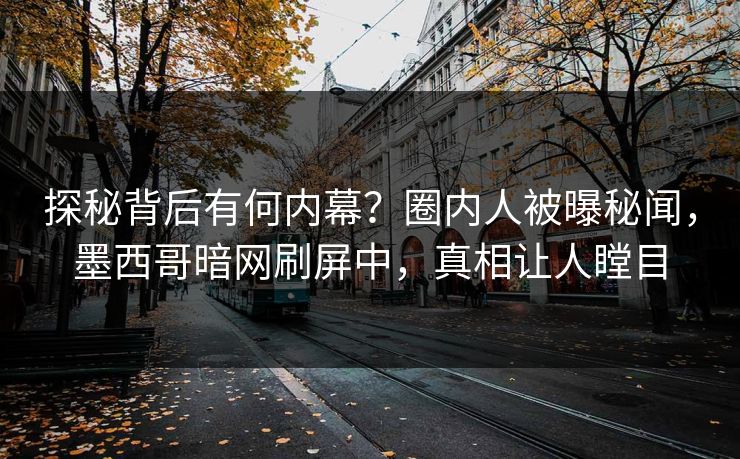 探秘背后有何内幕？圈内人被曝秘闻，墨西哥暗网刷屏中，真相让人瞠目