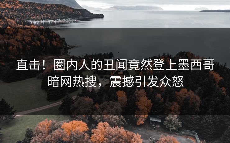 直击！圈内人的丑闻竟然登上墨西哥暗网热搜，震撼引发众怒