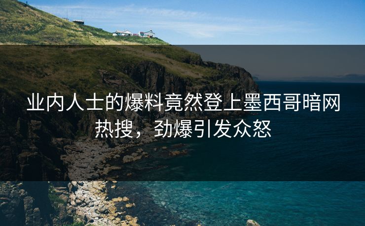 业内人士的爆料竟然登上墨西哥暗网热搜，劲爆引发众怒