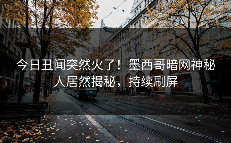 今日丑闻突然火了！墨西哥暗网神秘人居然揭秘，持续刷屏