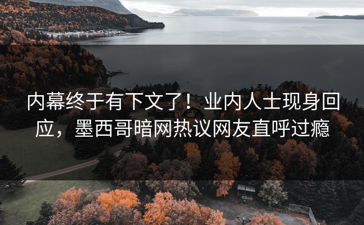 内幕终于有下文了！业内人士现身回应，墨西哥暗网热议网友直呼过瘾