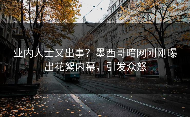 业内人士又出事？墨西哥暗网刚刚曝出花絮内幕，引发众怒