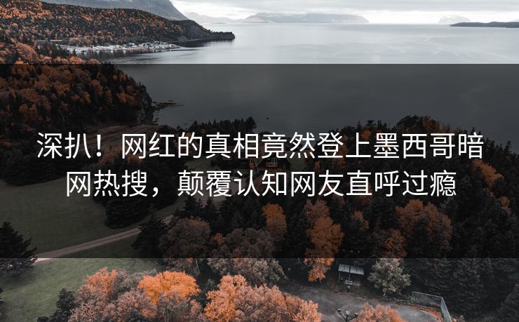 深扒！网红的真相竟然登上墨西哥暗网热搜，颠覆认知网友直呼过瘾