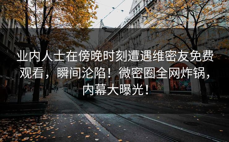 业内人士在傍晚时刻遭遇维密友免费观看，瞬间沦陷！微密圈全网炸锅，内幕大曝光！