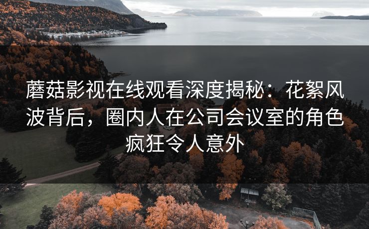 蘑菇影视在线观看深度揭秘：花絮风波背后，圈内人在公司会议室的角色疯狂令人意外