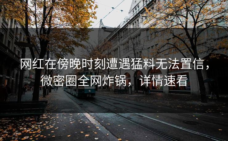 网红在傍晚时刻遭遇猛料无法置信，微密圈全网炸锅，详情速看