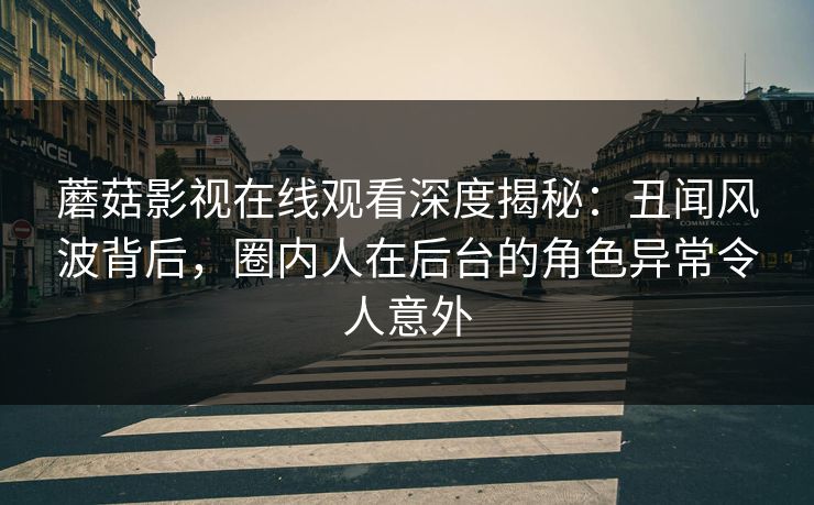 蘑菇影视在线观看深度揭秘：丑闻风波背后，圈内人在后台的角色异常令人意外